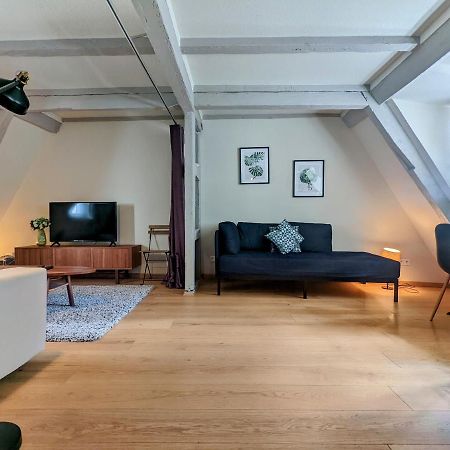 Citycosy Strasbourg - Authentique Batelier Dış mekan fotoğraf