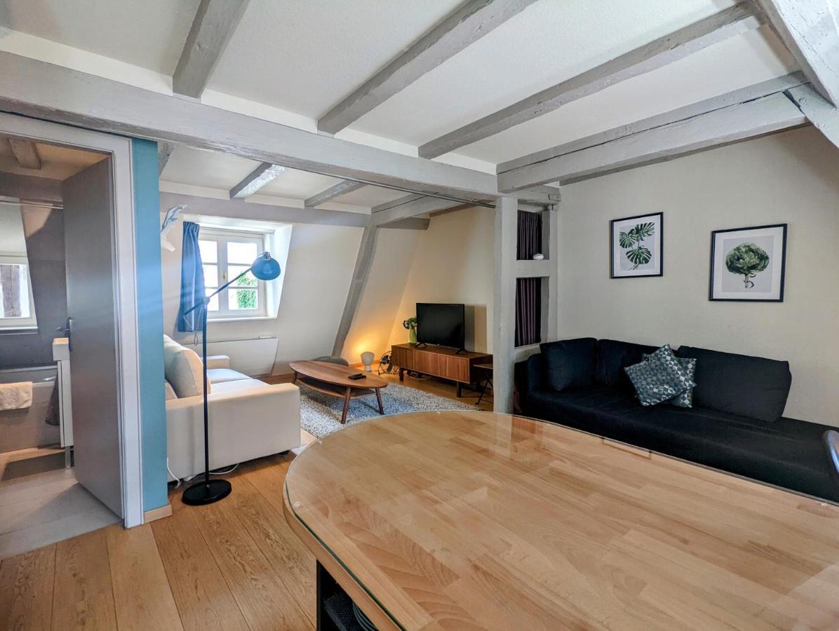 Citycosy Strasbourg - Authentique Batelier Dış mekan fotoğraf