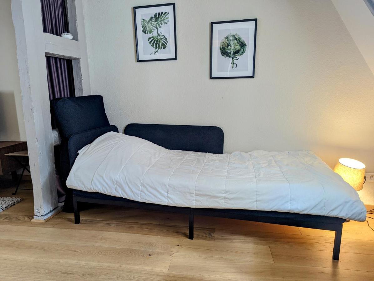 Citycosy Strasbourg - Authentique Batelier Dış mekan fotoğraf