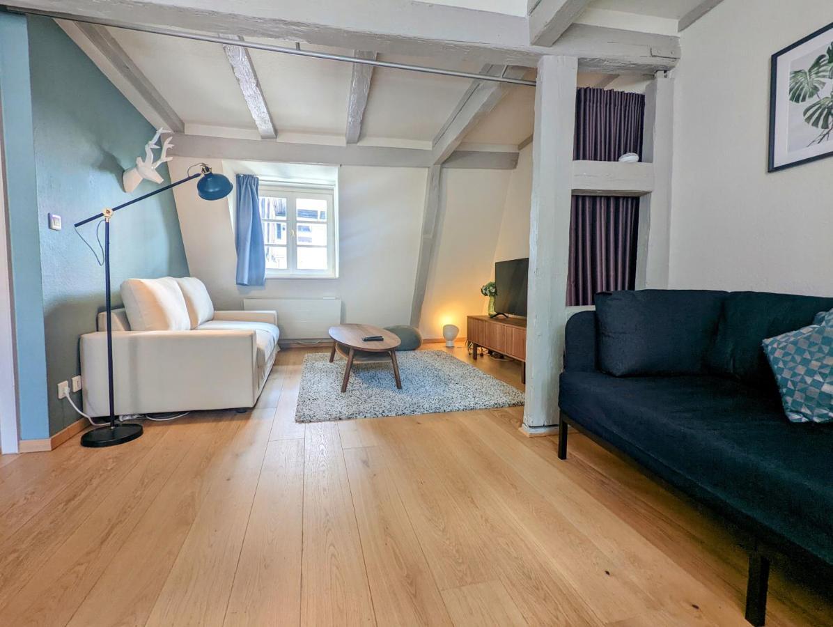 Citycosy Strasbourg - Authentique Batelier Dış mekan fotoğraf
