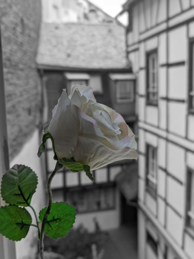 Citycosy Strasbourg - Authentique Batelier Dış mekan fotoğraf