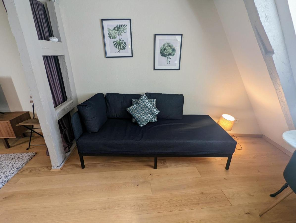 Citycosy Strasbourg - Authentique Batelier Dış mekan fotoğraf