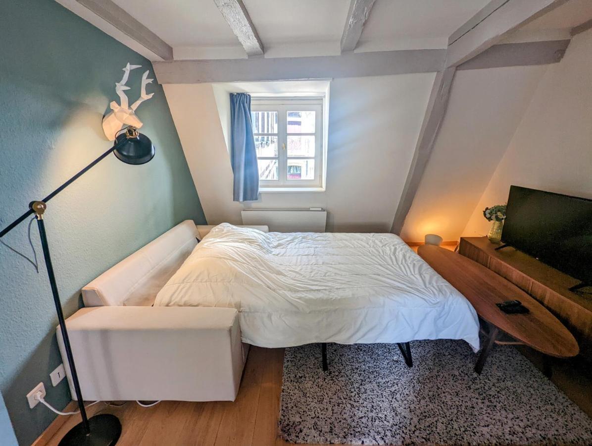 Citycosy Strasbourg - Authentique Batelier Dış mekan fotoğraf